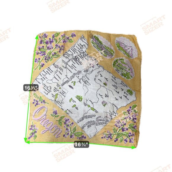 Vt Oregon State Landmarks Souvenir Handkerchief Silk Hand Rolled Edge Scarf READ - Picture 5 of 7